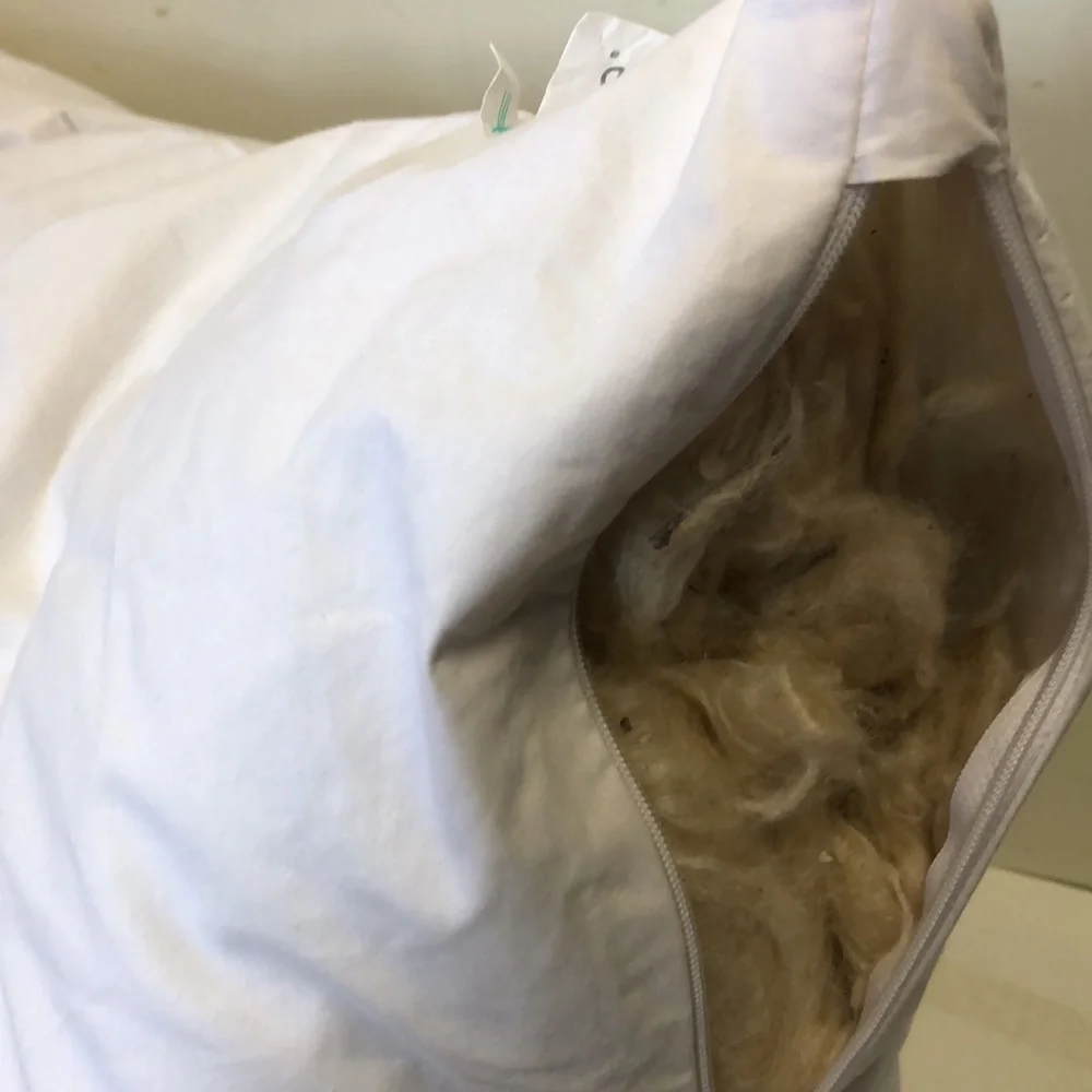 NEW Organic Kapok Bed Pillow